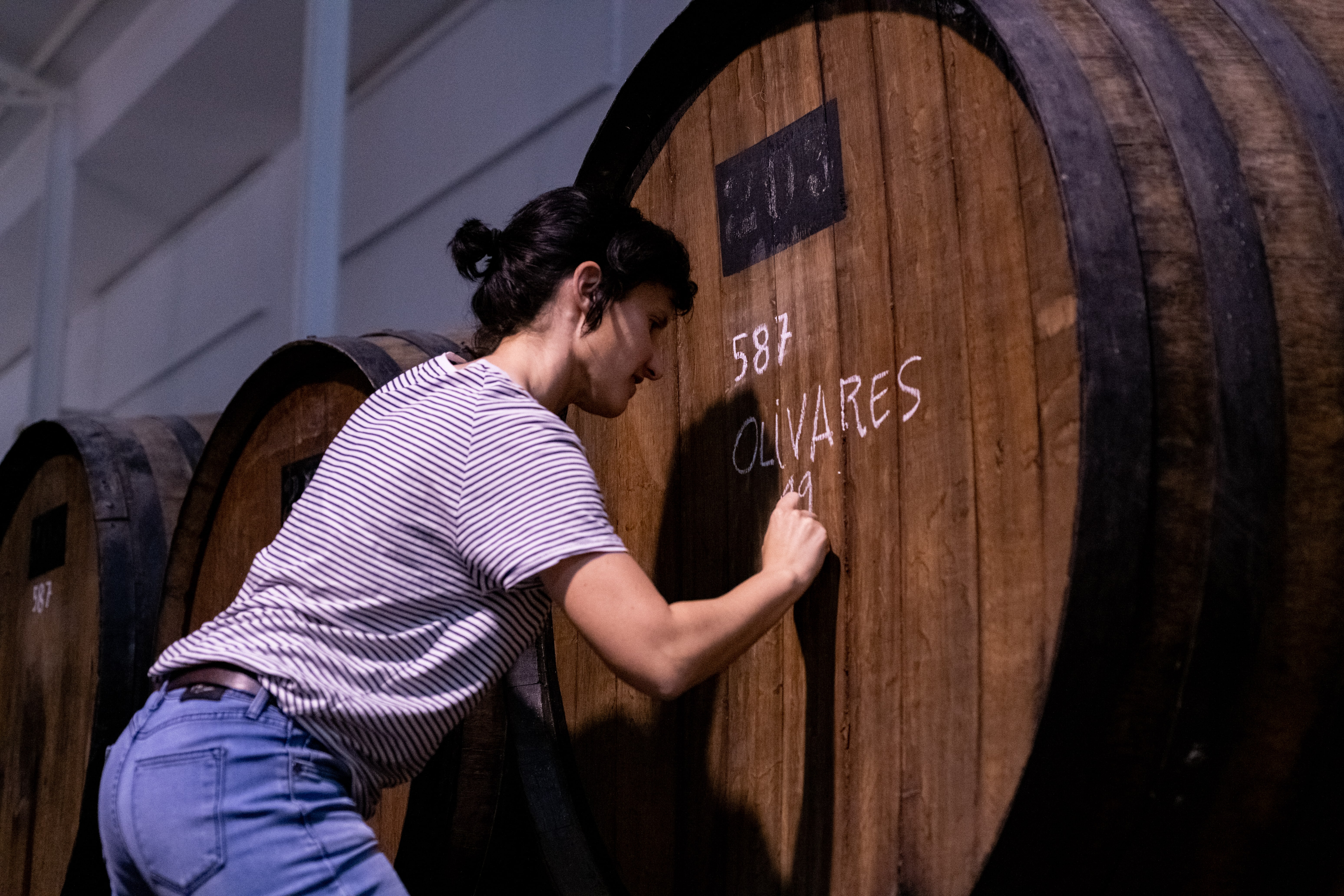bodegas olivares1.jpg bodegas olivares1.jpg